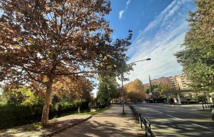 Météo France announces a very mild day in Toulouse and Occitanie