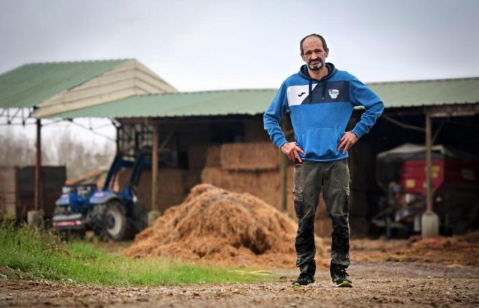 avian flu, a daily challenge for this Landes breeder