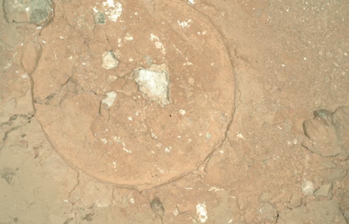 Perseverance discovers mysterious greenish spots on Mars