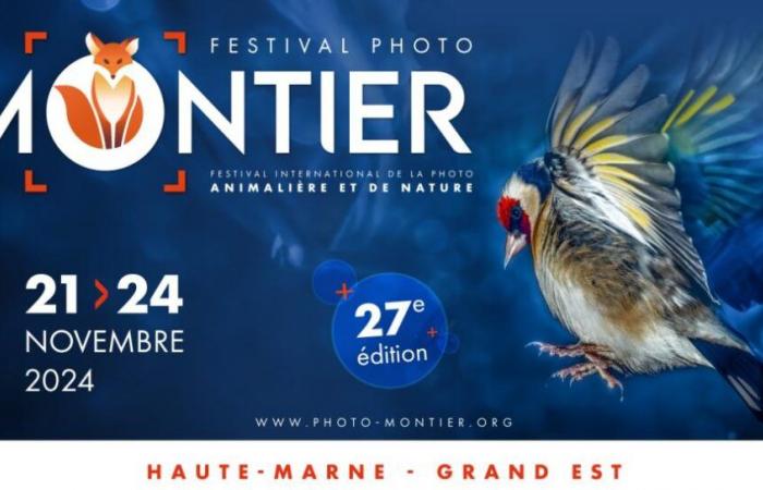 The Montier-en-Der photo festival is at the end of November, in Haute-Marne