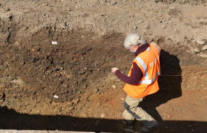 Haut-Rhin: several skulls and bones discovered on an earthworks site in Saint-Louis