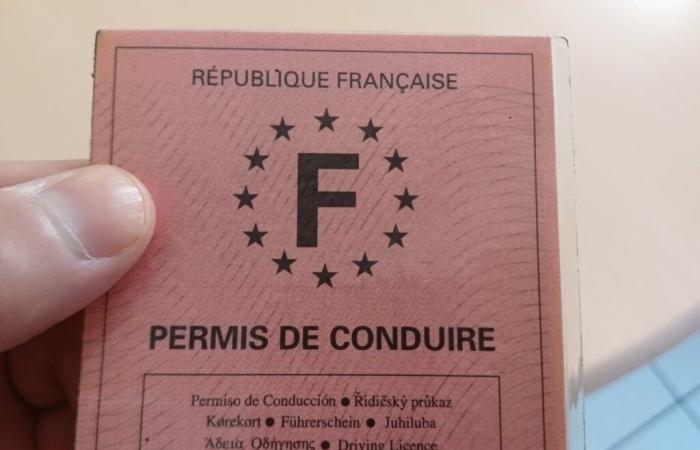 Young people behind the wheel. How to get your license for free in Tarn-et-Garonne?