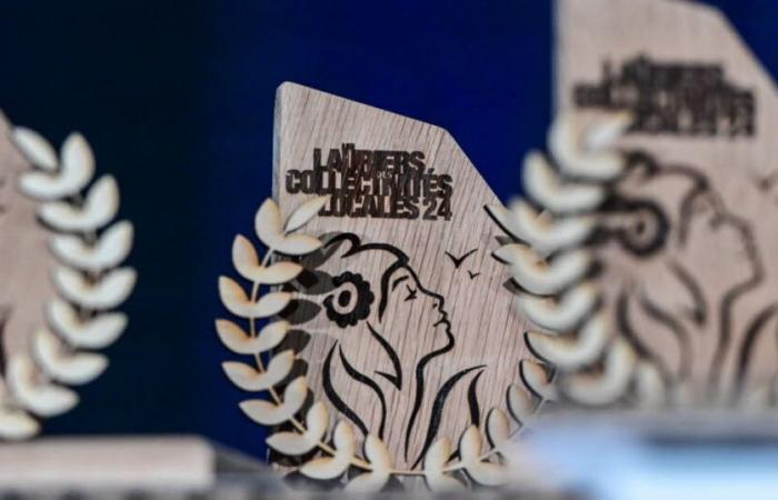 Live. Laurels of the communities of the Territoire de Belfort: discover the winners