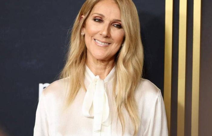 Celine Dion would work with her son René-Charles on this project