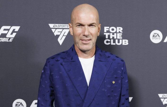 Zinédine Zidane: “a 15-centimeter gash” caused by Benjamin Castaldi and his knife during a charity event