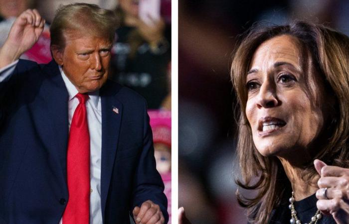 American presidential election: Donald Trump or Kamala Harris, what time will the results of the vote be known?