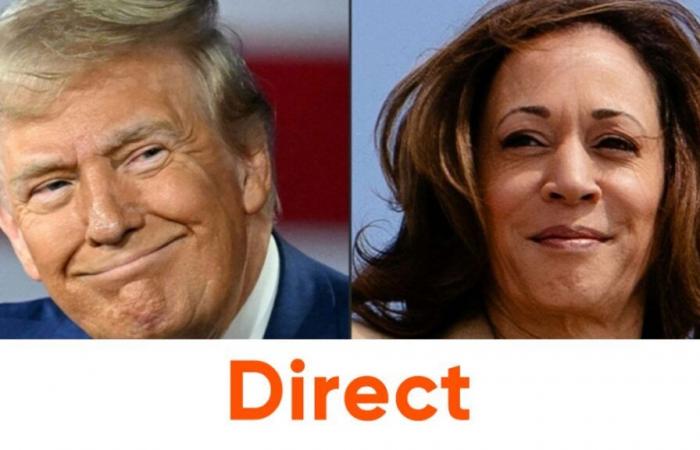 US presidential election 2024: Kamala Harris or Donald Trump, America on the eve of a historic choice