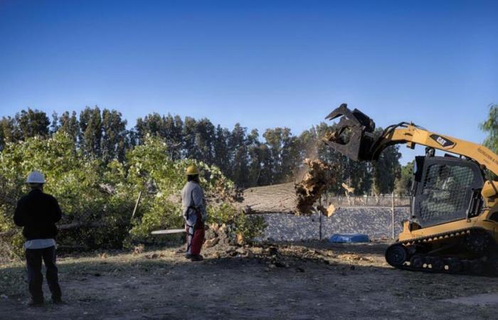 California Winds | National News