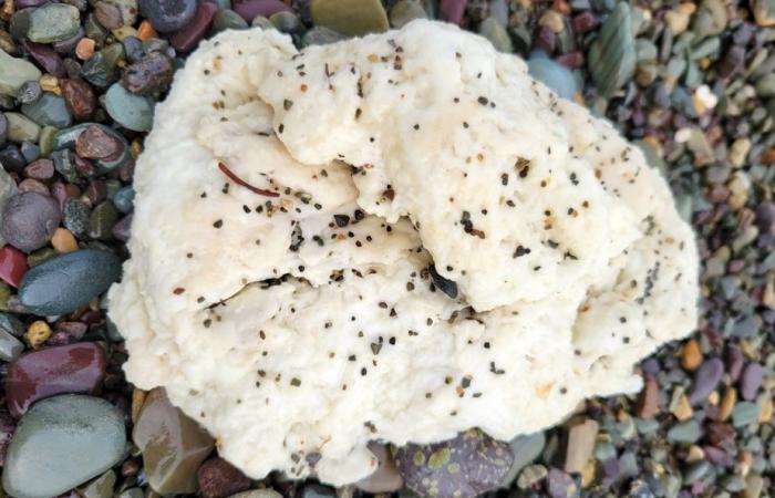 Newfoundland Beaches | The mysterious clusters are said to be made of plastic