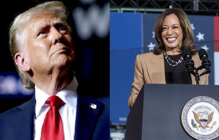 American election: what impacts for Africa under Harris or Trump? (researcher) | APAnews