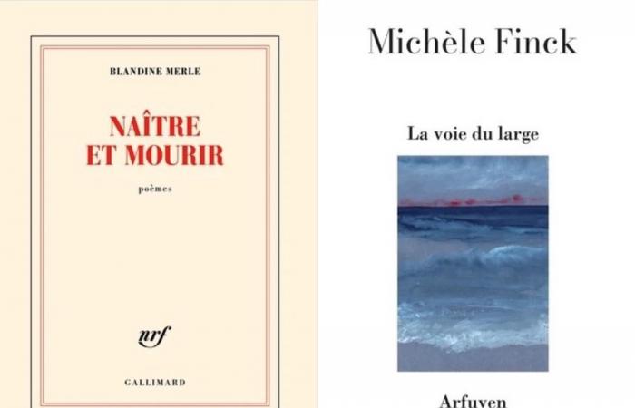 The 2024 Apollinaire Prize awarded to Michèle Finck