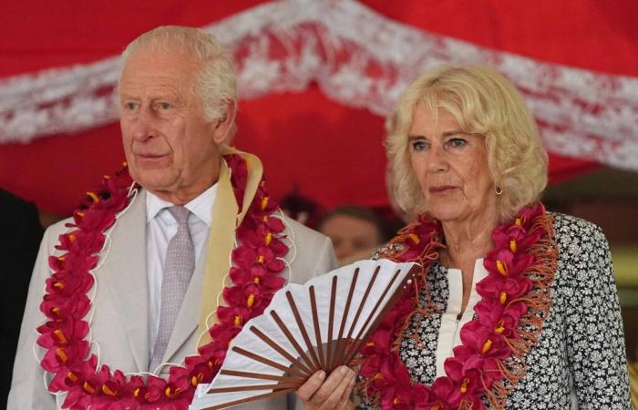 Queen Camilla withdraws from engagements for health reasons