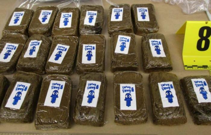 Major RCMP operation in Quebec: hashish and cocaine seized by the kilo