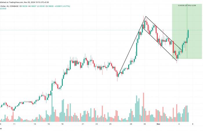 Dogecoin gains 10%; return to the causes of the increase