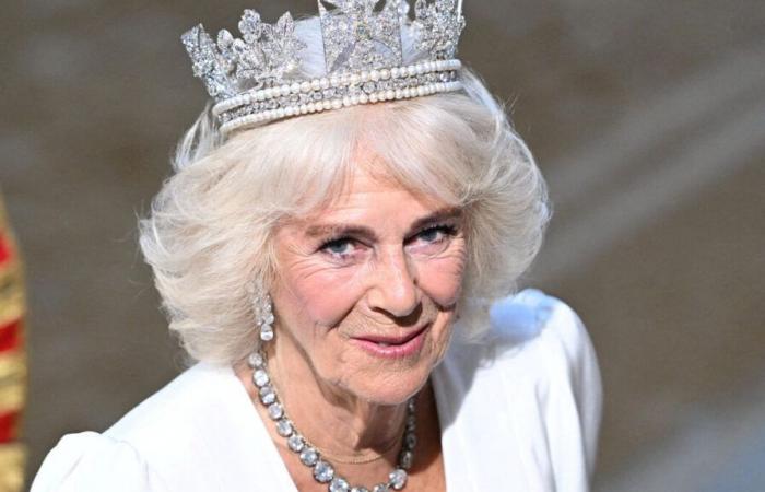 Queen Camilla suffers from lung infection, ‘short period of rest’ required