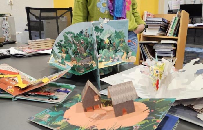 the world of pop-up books to discover at the media library