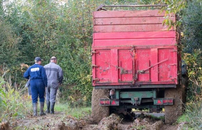 In South Vendée, farmers' demonstrations will wait until the end of harvests and sowing