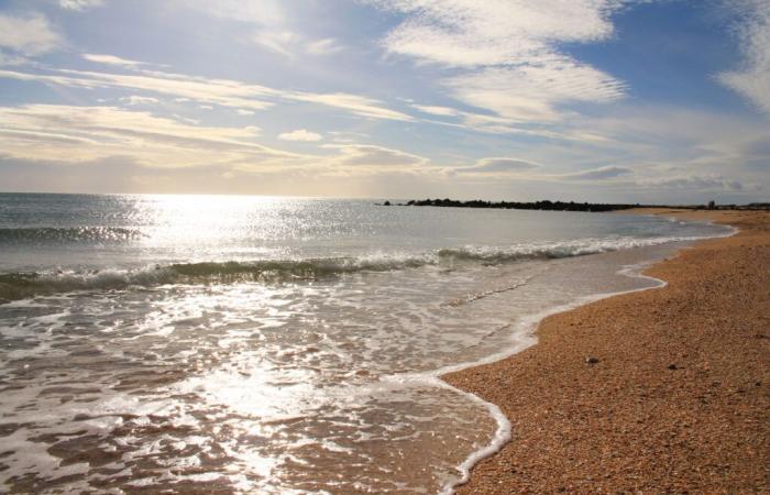 Suffering from a brain tumor, she gathered her friends on a beach in Sète before dying