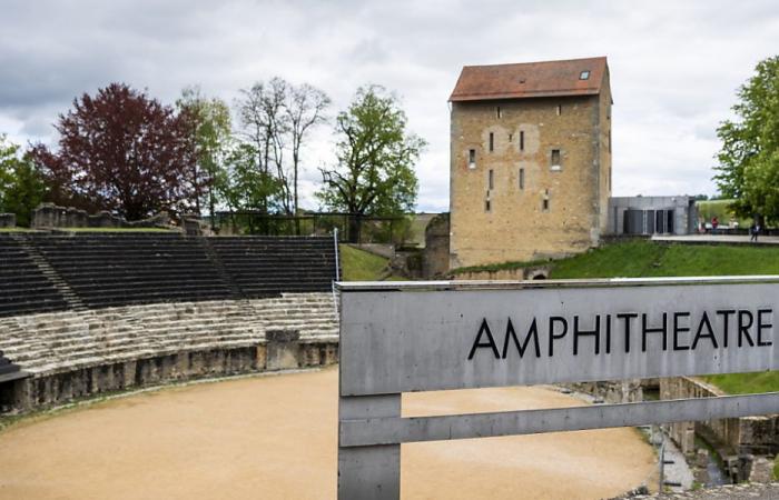 MEPs grant new credit for the Avenches arenas