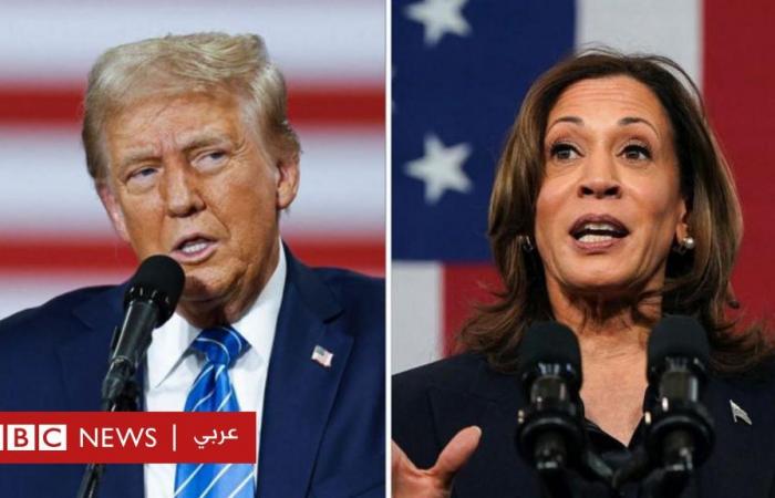 Harris or Trump: Which is better for the Arab region, its peoples and governments?