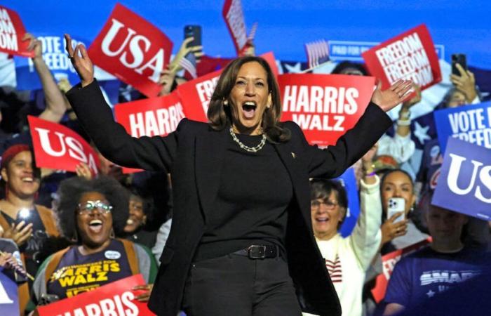 Kamala Harris or Donald Trump, the United States at a time of choice