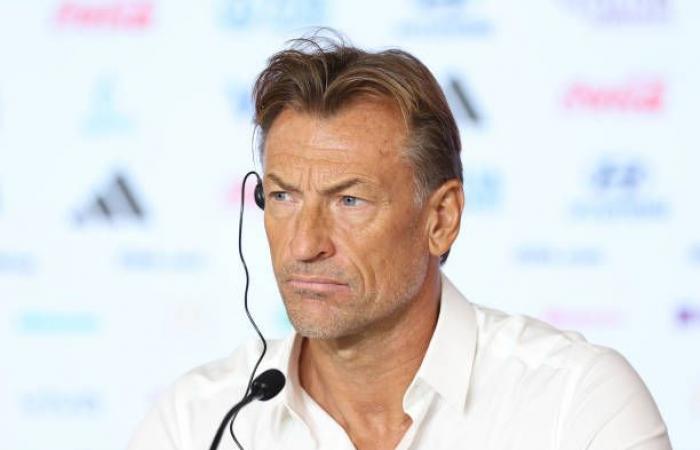 Revelation about his non-appearance on the Lions bench: Hervé Renard wanted Omar Daf as his assistant