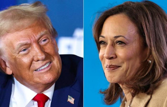 What if there was a perfect tie between Trump and Harris?