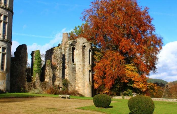 9 parks and gardens will open their doors free of charge to the public on November 16 and 17 on the occasion of the 1st edition of Parcs en Automne – Angers Info