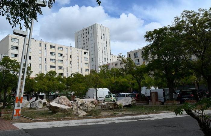 the shooter arrested by the BAC Nord in a city in Marseille