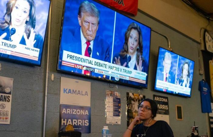 the map of the results of the US presidential election between Harris and Trump