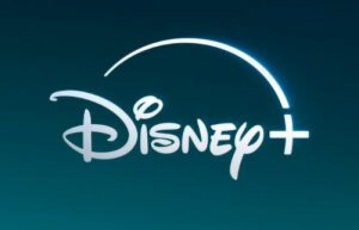 CANAL+: Disney+ and Disney channels will disappear at the end of the year