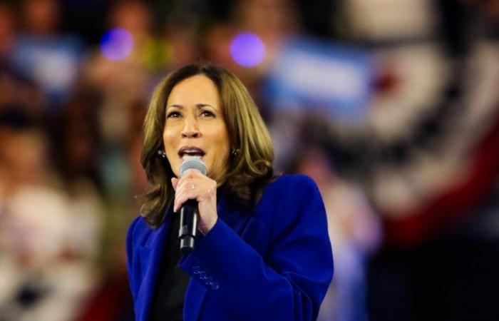 Blazer, Converse: how Kamala Harris made her wardrobe an asset during her campaign