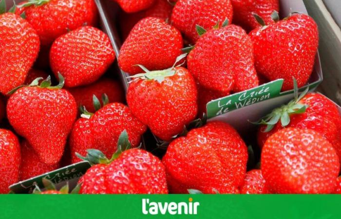 Intermarché bans strawberries and cherries from its shelves in France: what about Belgian supermarkets?