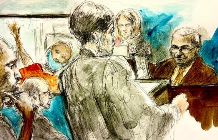 Parricide in Toronto: a witness confirms the thesis of the murder committed two days earlier