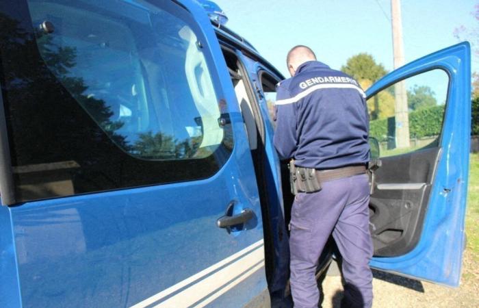 Police stop a crazy car and make a surprising discovery in Oise