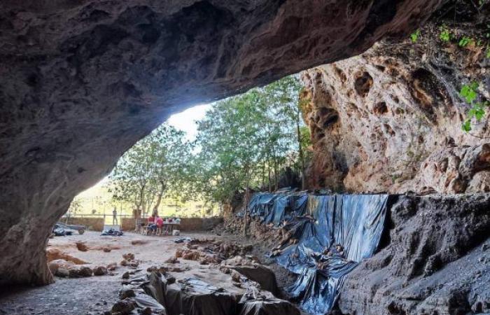 The oldest “medical” use of herbs in the world was discovered in the Pigeon Cave in Tafogalt, 15,000 years old – Today 24