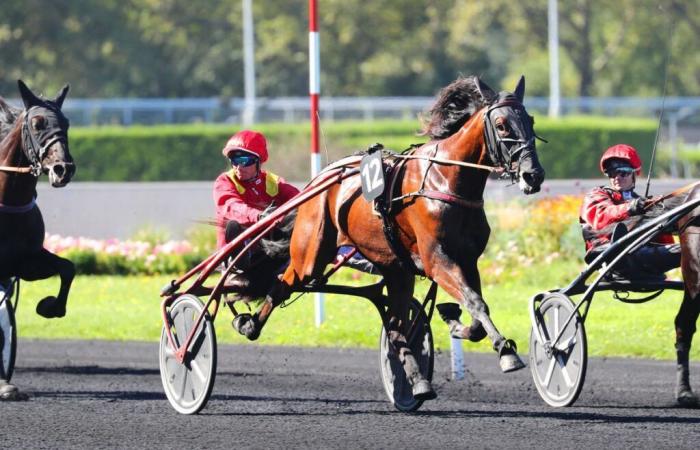 Our good marks on the track this Wednesday, November 6, 2024