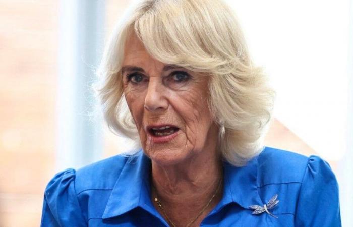 Camilla cancels engagements due to lung infection