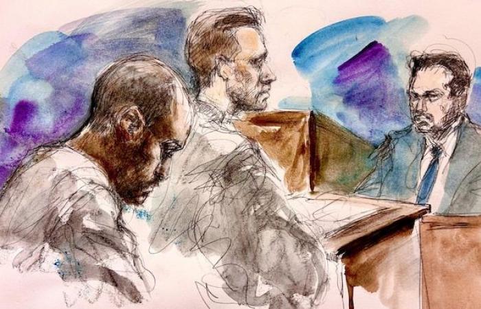 Parricide in Toronto: a witness confirms the thesis of the murder committed two days earlier