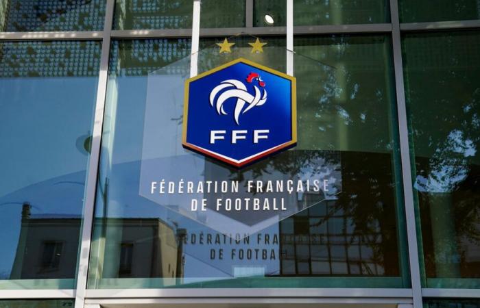 France-Israel: demonstrators demanding the cancellation of the match were received by the FFF