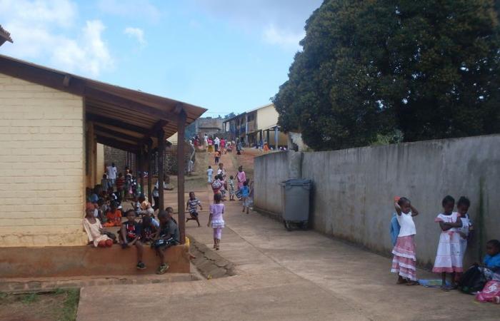 the Jean Jaurès foundation warns of school dropouts in Mayotte and Guyana