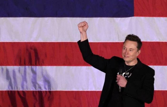 US presidential election 2024. Elon Musk's lottery is rigged, justice still authorizes it