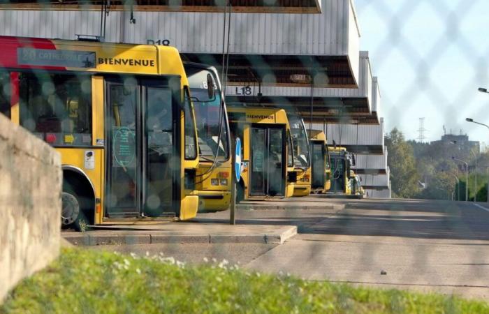 In Liège, strong disruptions in buses