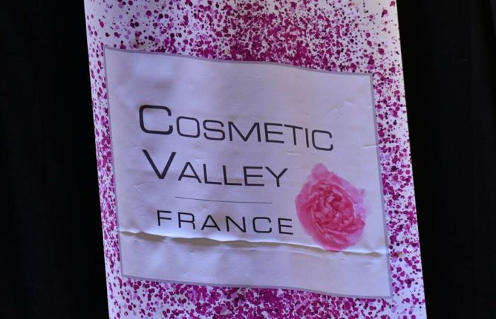 Sustainable cosmetics, three books published by Cosmetic Valley to decipher the issues