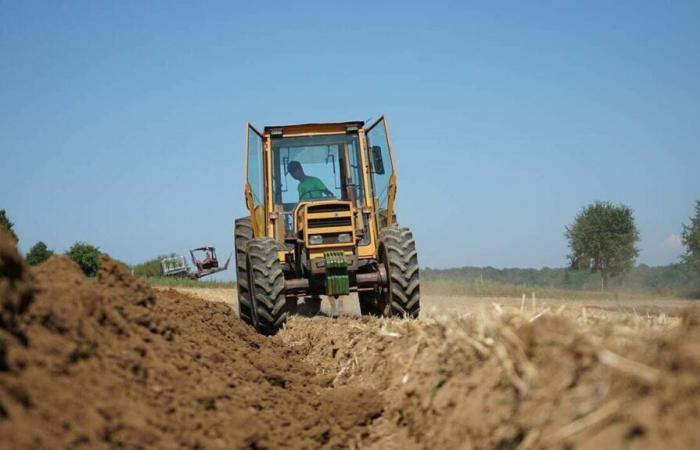 He had caused the accident of his thieves by chasing them, a farmer convicted