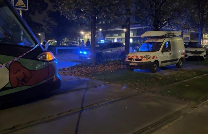 A woman dies in a tram accident in Strasbourg