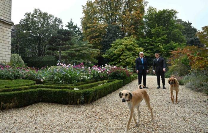 Tokayev and Macron stroll through Élysée Palace garden accompanied by Tazy dogs — – 06.11.2024