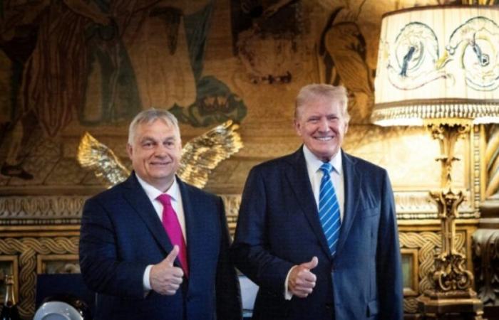 Comforted by Trump's “brilliant” success, Orban receives the EU in Hungary: News