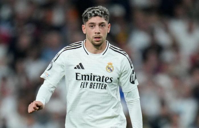 Federico Valverde's partner ignites Ancelotti on social networks