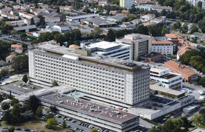 A unit of the Vendée hospital center rewarded for its research actions